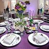 Wedding Reception